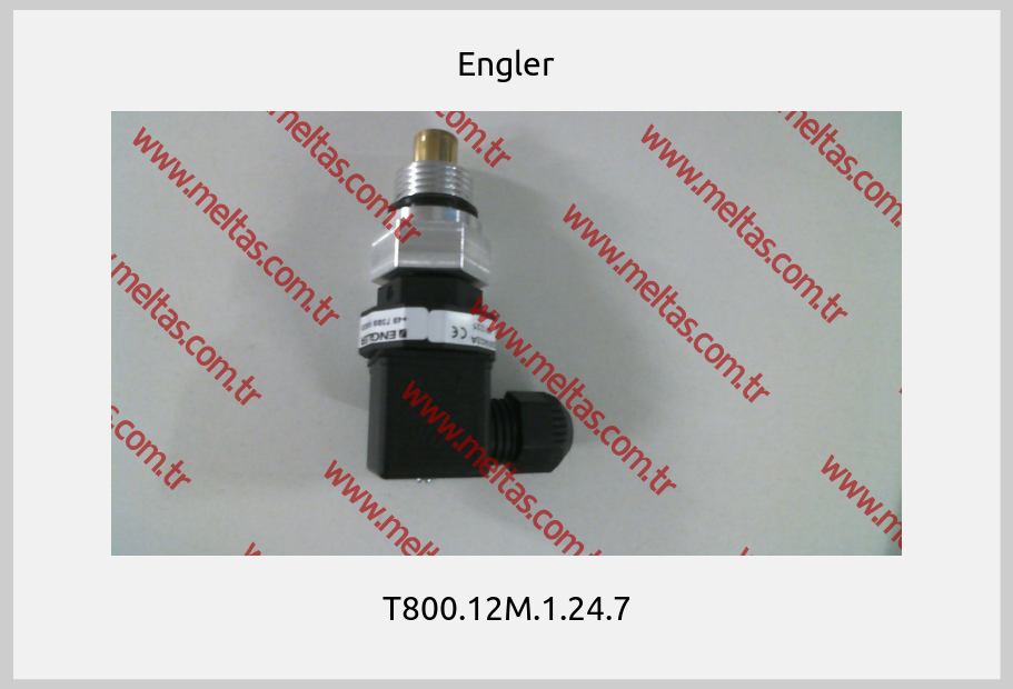 Engler - T800.12M.1.24.7