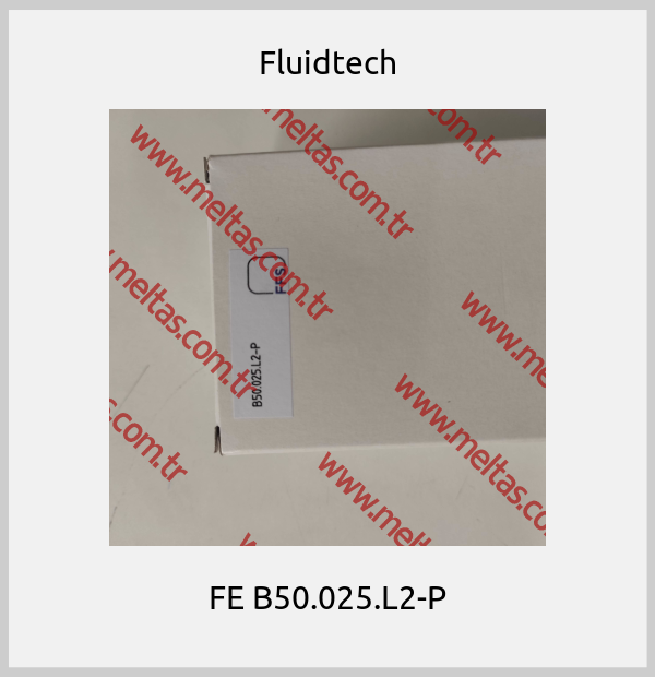 Fluidtech - FE B50.025.L2-P