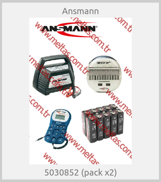 Ansmann - 5030852 (pack x2)