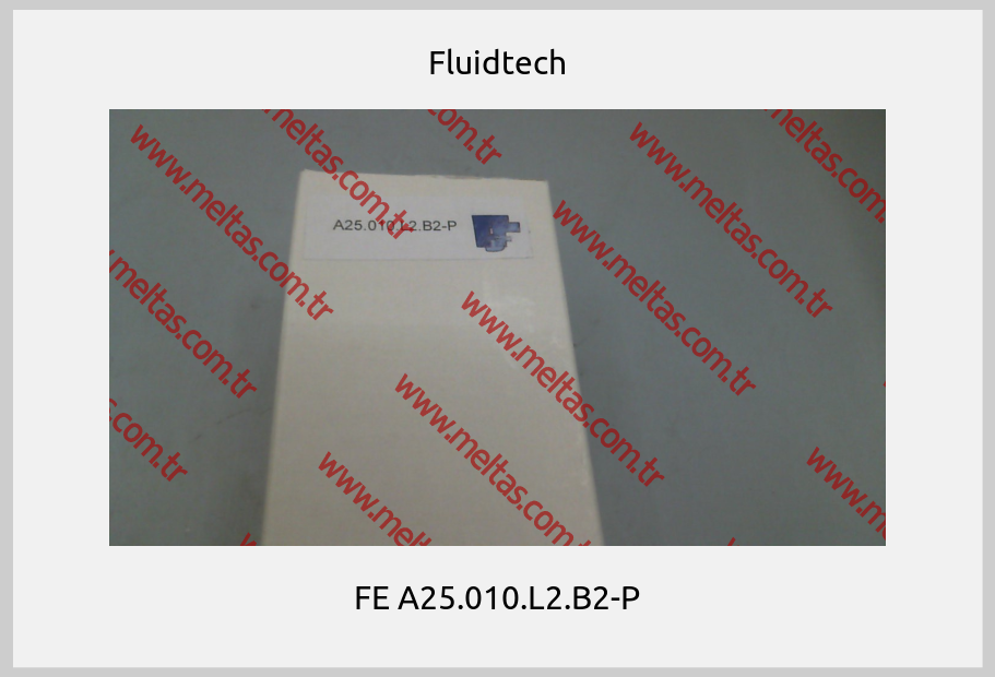 Fluidtech - FE A25.010.L2.B2-P