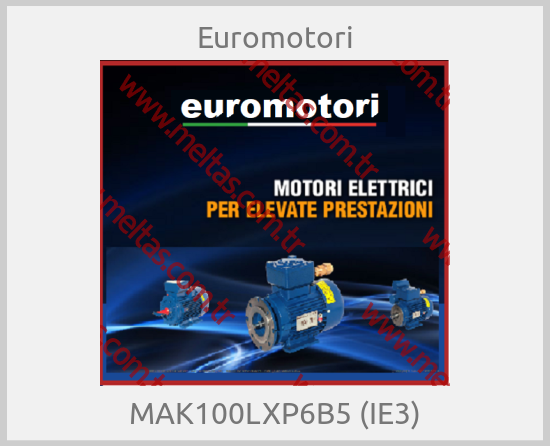 Euromotori - MAK100LXP6B5 (IE3)