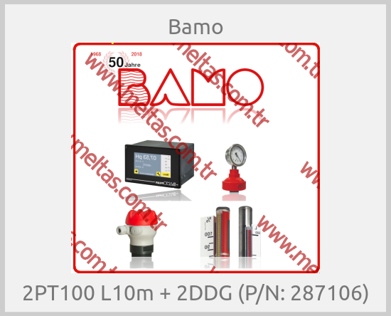 Bamo - 2PT100 L10m + 2DDG (P/N: 287106)