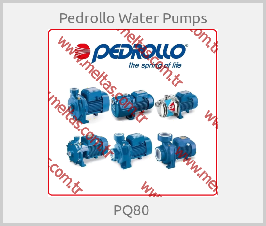 Pedrollo Water Pumps - PQ80 