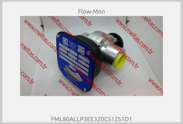 Flow-Mon - FML80ALLP3EE320CS12S1D1