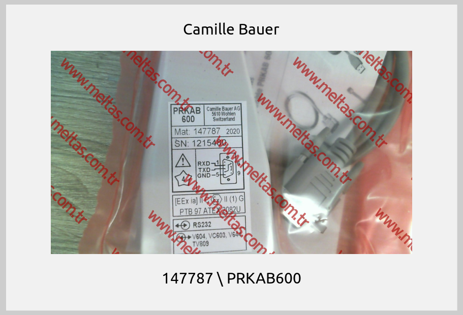 Camille Bauer - 147787 \ PRKAB600