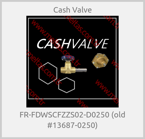 Cash Valve - FR-FDWSCFZZS02-D0250 (old #13687-0250)