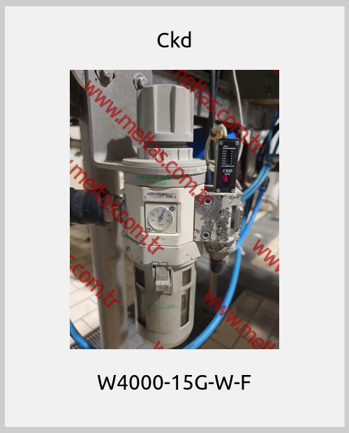 Ckd - W4000-15G-W-F