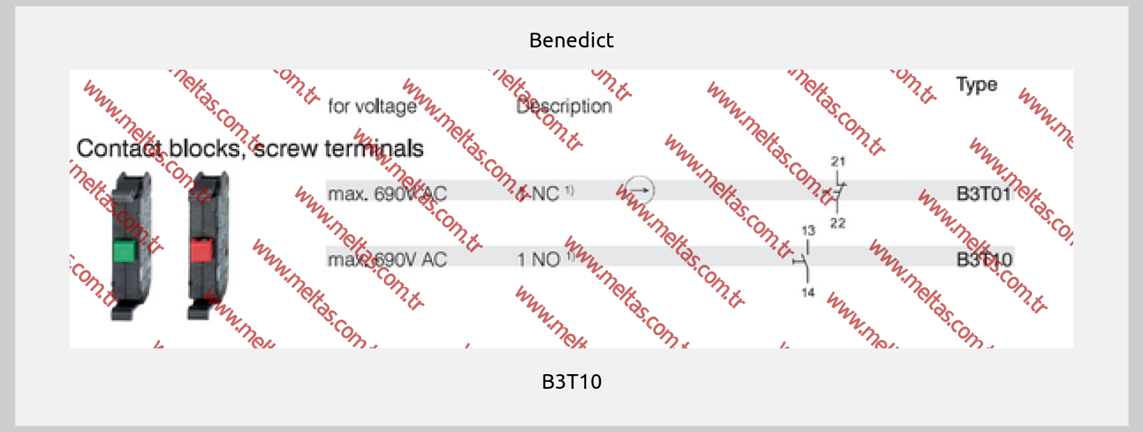 Benedict - B3T10