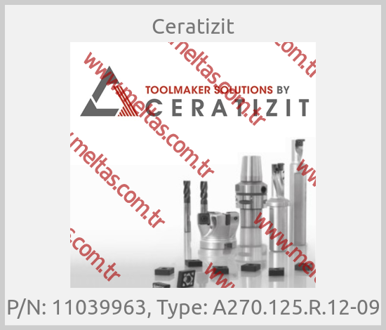 Ceratizit - P/N: 11039963, Type: A270.125.R.12-09