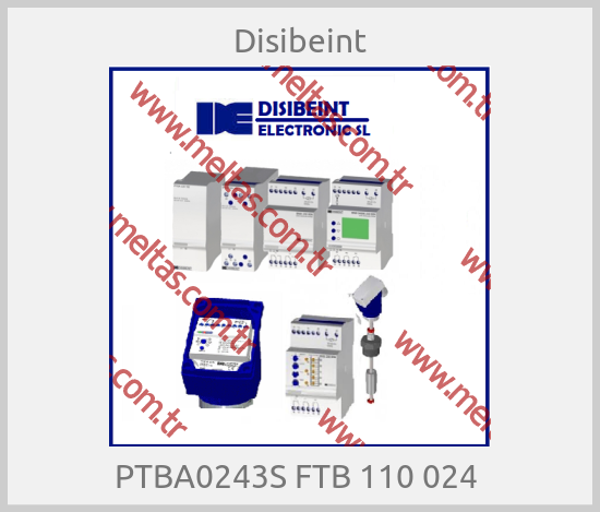 Disibeint-PTBA0243S FTB 110 024 