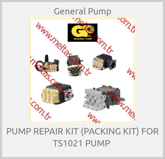 General Pump - PUMP REPAIR KIT (PACKING KIT) FOR TS1021 PUMP 