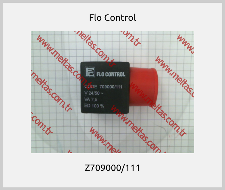 Flo Control-Z709000/111