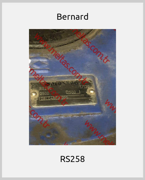 Bernard - RS258
