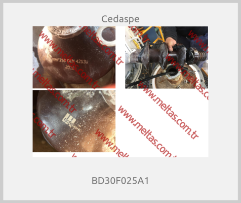 Cedaspe - BD30F025A1