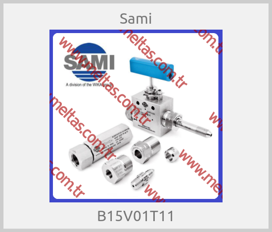 Sami - B15V01T11