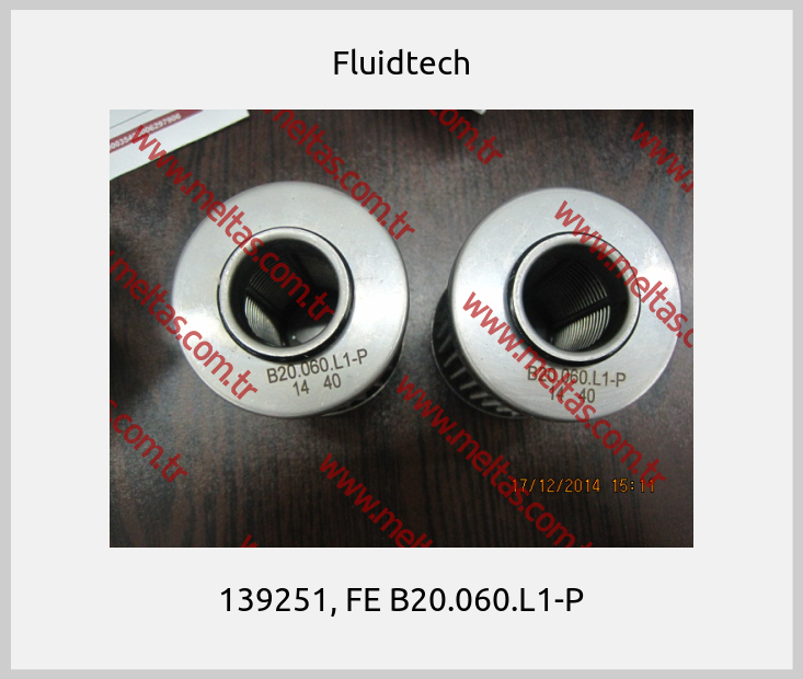 Fluidtech-139251, FE B20.060.L1-P