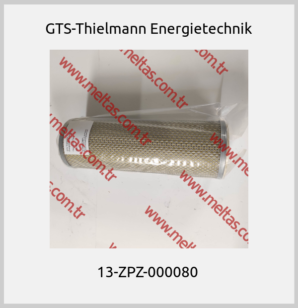 GTS-Thielmann Energietechnik-13-ZPZ-000080 