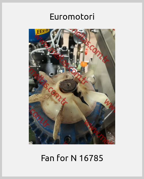 Euromotori - Fan for N 16785