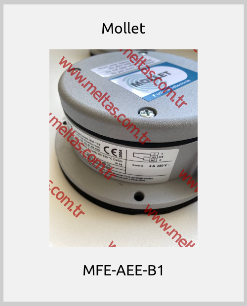 Mollet - MFE-AEE-B1