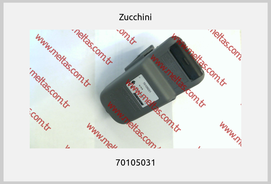 Zucchini - 70105031