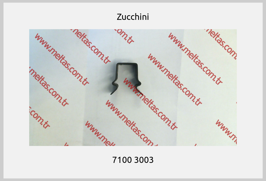 Zucchini - 7100 3003