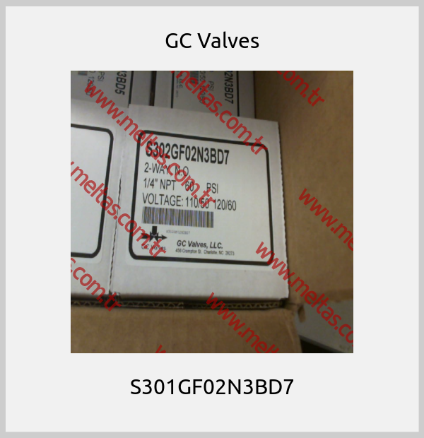 GC Valves-S301GF02N3BD7