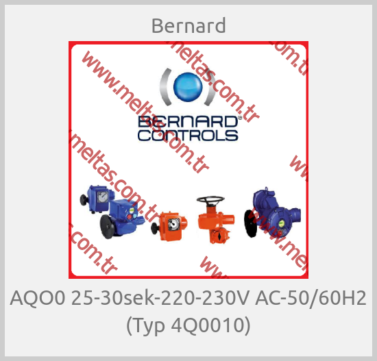 Bernard-AQO0 25-30sek-220-230V AC-50/60H2 (Typ 4Q0010)