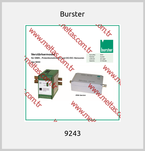 Burster-9243