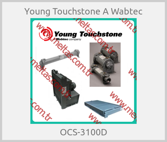 Young Touchstone A Wabtec-OCS-3100D