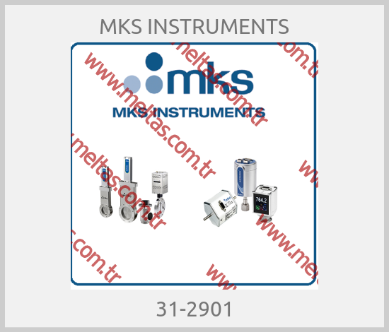 MKS INSTRUMENTS - 31-2901
