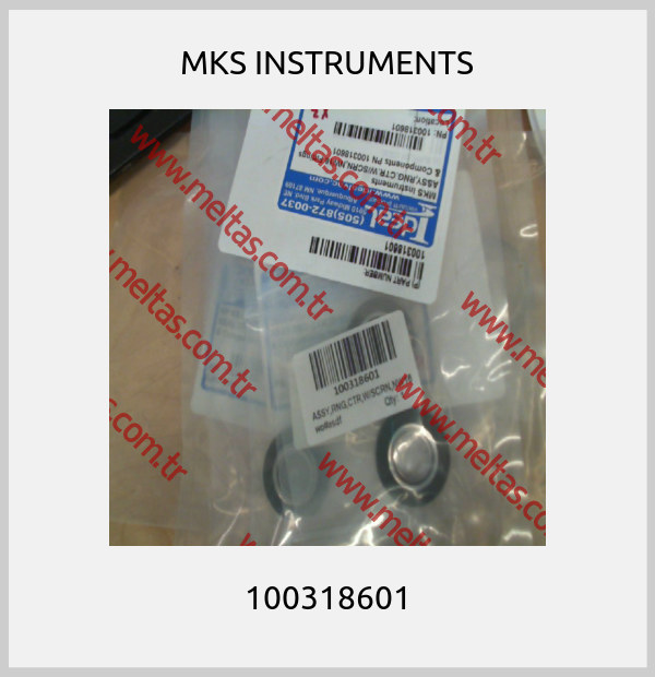 MKS INSTRUMENTS - 100318601