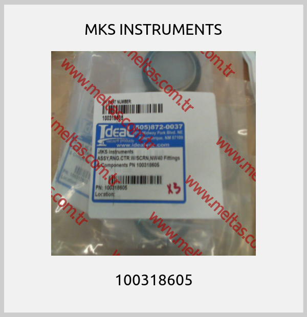 MKS INSTRUMENTS - 100318605