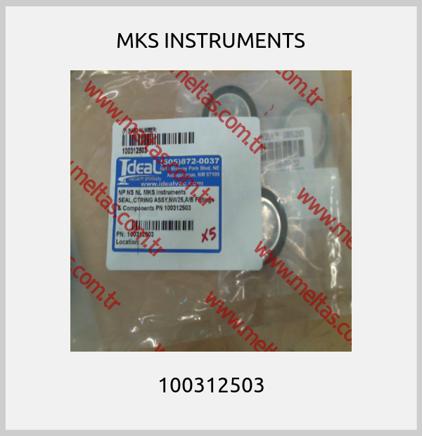 MKS INSTRUMENTS - 100312503