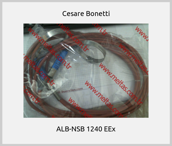 Cesare Bonetti - ALB-NSB 1240 EEx
