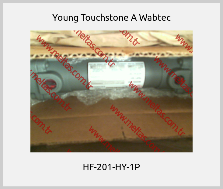 Young Touchstone A Wabtec - HF-201-HY-1P
