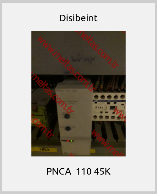 Disibeint-PNCA  110 45K