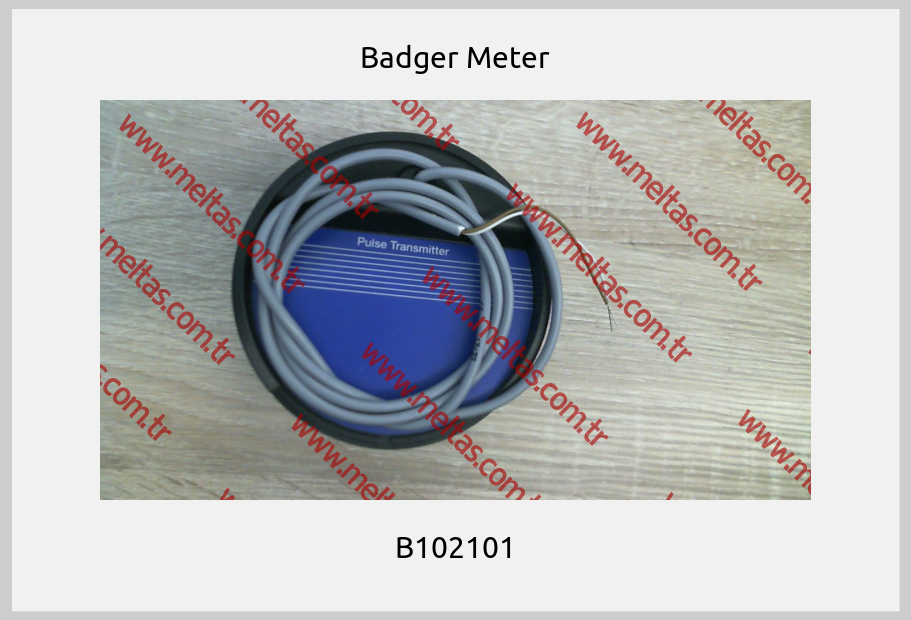 Badger Meter - B102101