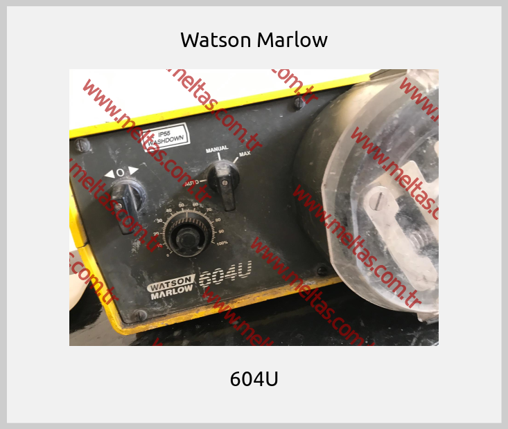 Watson Marlow - 604U