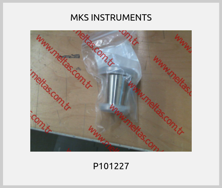 MKS INSTRUMENTS - P101227