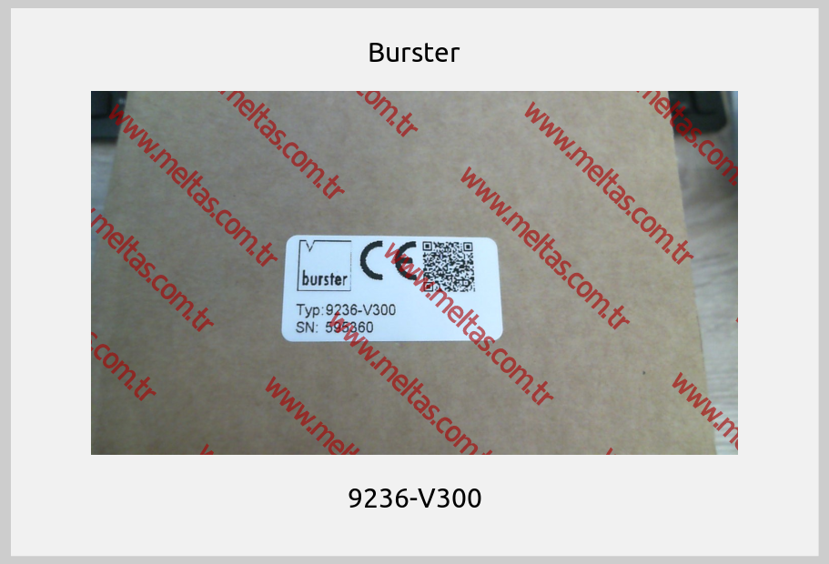 Burster - 9236-V300