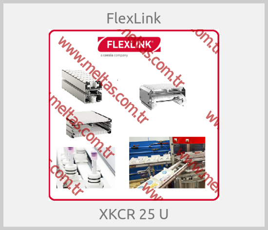 FlexLink - XKCR 25 U