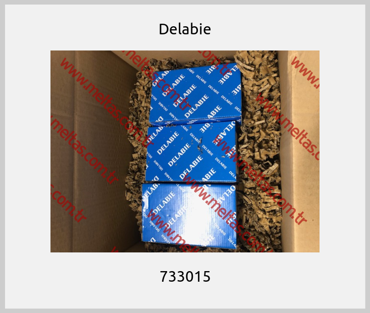 Delabie - 733015