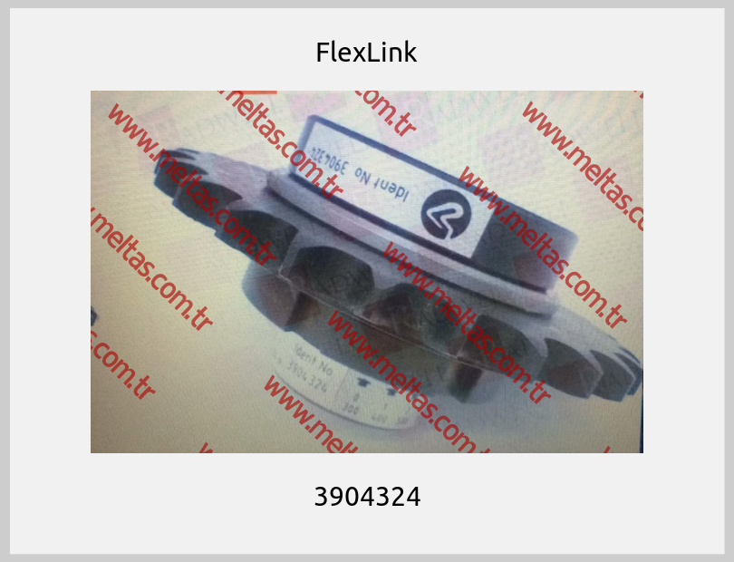 FlexLink - 3904324