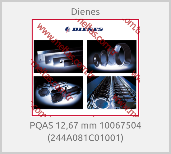 Dienes - PQAS 12,67 mm 10067504 (244A081C01001)