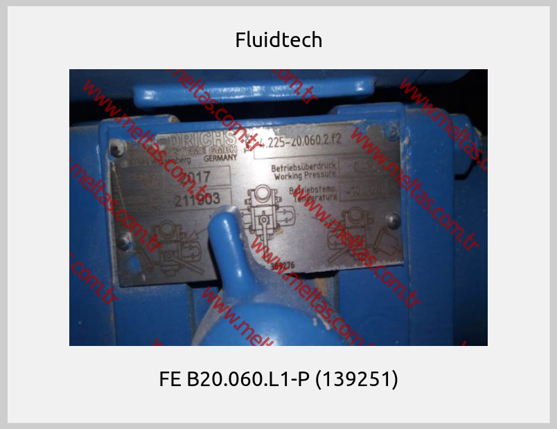 Fluidtech-FE B20.060.L1-P (139251)