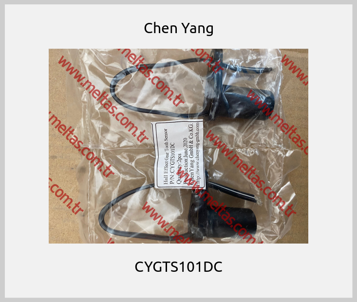Chen Yang-CYGTS101DC