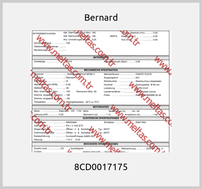 Bernard-8CD0017175