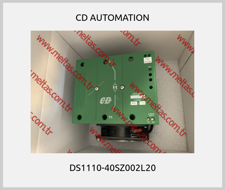 CD AUTOMATION-DS1110-40SZ002L20