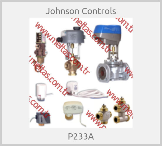 Johnson Controls-P233A