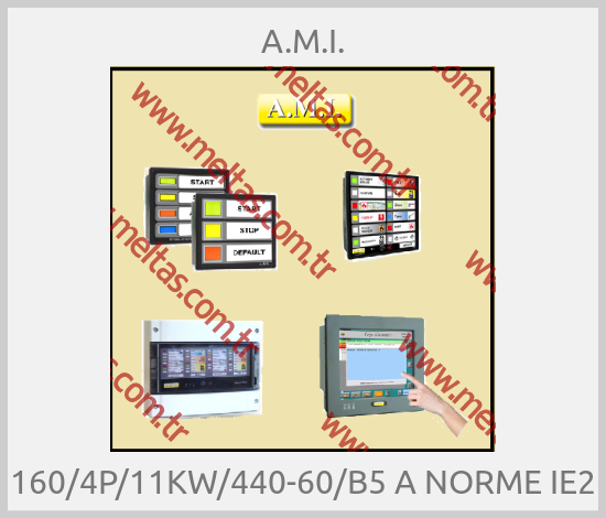 A.M.I. - 160/4P/11KW/440-60/B5 A NORME IE2